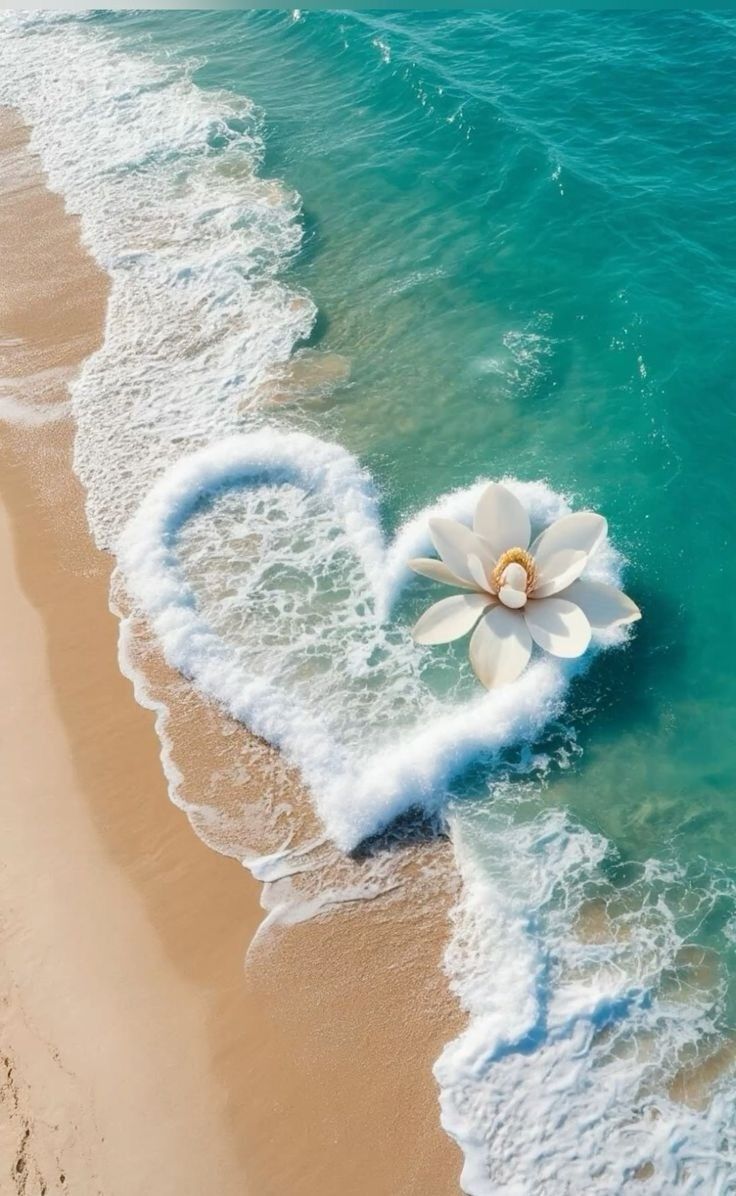 🌿 Bienestar y Naturaleza: Cómo Marien Residences Combina Lujo y Vida Saludable